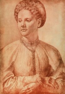 Retrato de una mujer noble de Leonardo da Vinci